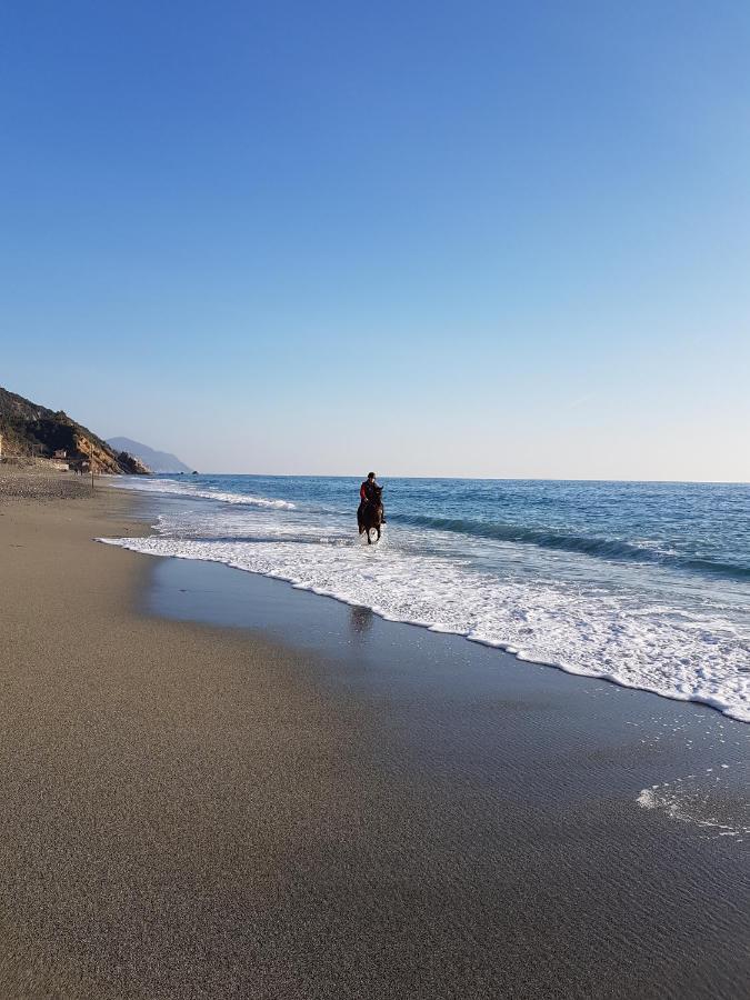 Appartamento Mare Mosso เดวามารีนา ภายนอก รูปภาพ